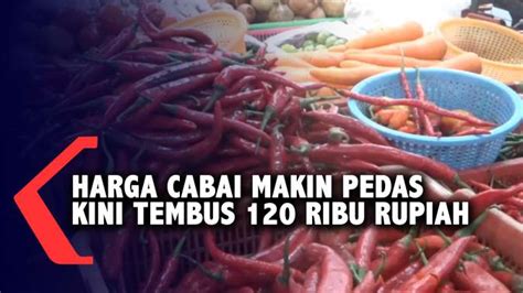 Harga Cabai Makin Pedas Kini Tembus Ribu Rupiah