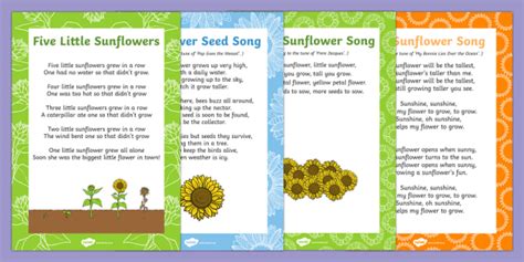 Sunflower Themed Songs and Rhymes Resource Pack