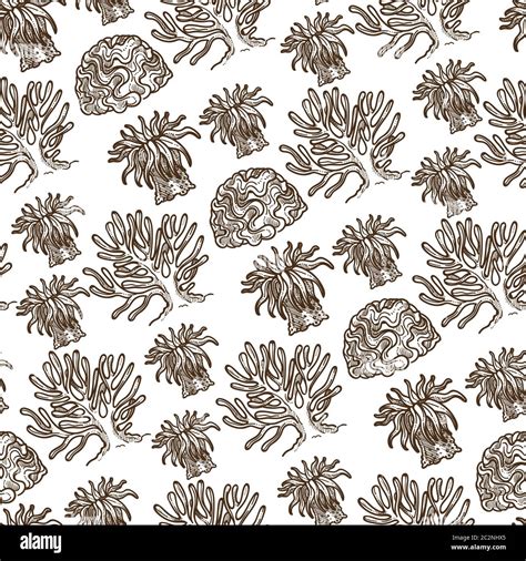 Seaweed Flowers And Leaves Underwater Monochrome Seamless Pattern Stock