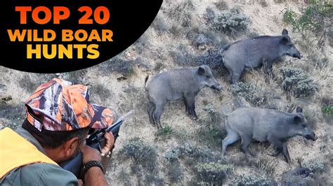 Top 20 Wild Boar Hunting Compilation En İyi 20 Domuz Avı Caçada De