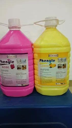 Liquid Bathroom Phenyl Multipurpose Can At Rs 100 Can In Secunderabad