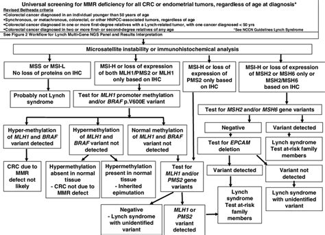 Lynch Syndrome Indications For Testing Crc Colorectal Cancer Hnpcc