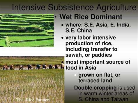 Types Of Subsistence Agriculture