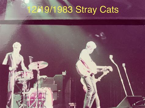 The Stray Cats S Concert Tour History Concert Archives