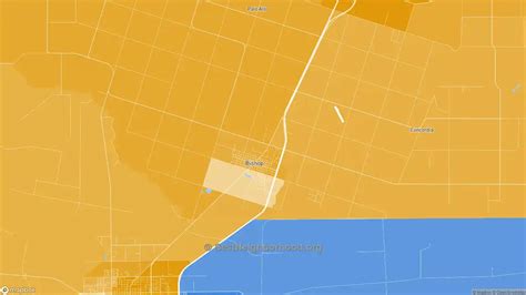 Race, Diversity, and Ethnicity in Bishop, TX | BestNeighborhood.org