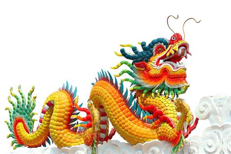 Colorful Chinese Dragon Isolated By Phalakon Jaisangat Chinese Dragon