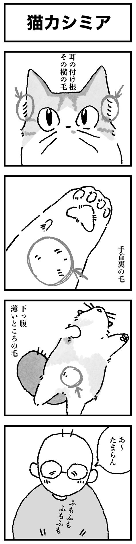 【猫4コマ漫画】猫の、一番触り心地がいいところって、どこ？