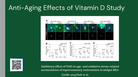 Exploring The Anti Aging Effects Of Vitamin D Insights From The