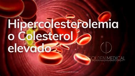 Hipercolesterolemia O Colesterol Elevado Golden Medical Youtube