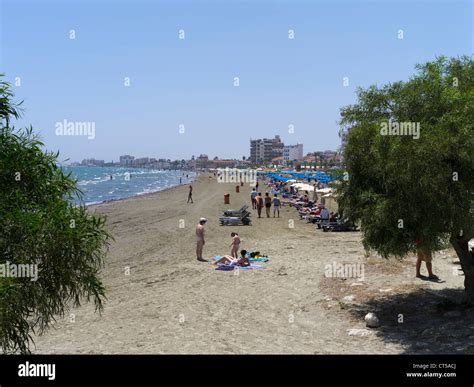 dh larnaca beach larnaca cyprus larnaka sand beaches family sunbathers