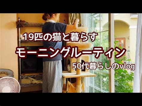 モーニングルーティンmorning routine 19匹の保護猫と暮らす 年をとるという事 コロナの後遺症 アラカンの暮らし