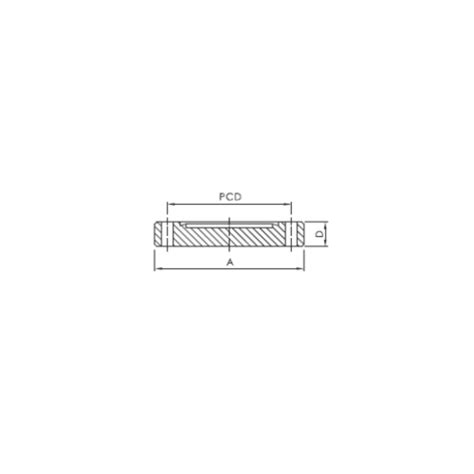 CF Blank Flange Non Rotatable DN50 With Through Holes Stainless Steel 304