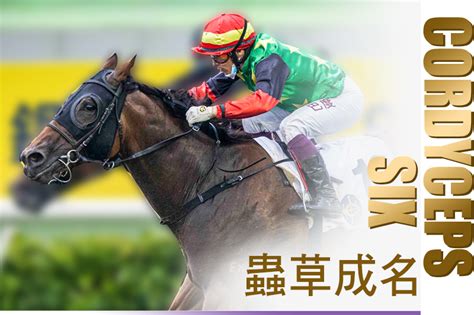 Awards Champion Awards 2022 The Hong Kong Jockey Club