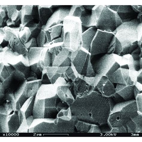 Sem Images Of The Fracture Of A Ao B Alox C Ao Al D Ao Al