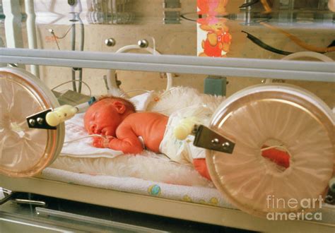 Baby In Incubator Photograph By Stevie Grand Science Photo Library