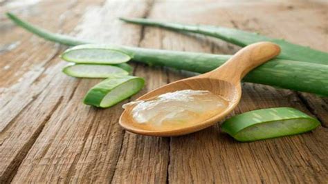 Como Extraer Y Conservar El Gel Del Aloe Vera Ideas Verdes