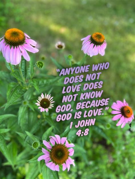 1 John 48 Bible Verses Quotes Inspirational Knowing God Bible