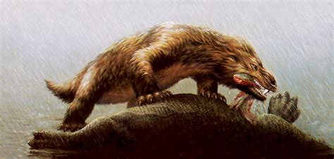 Cynognathus Ikessauro