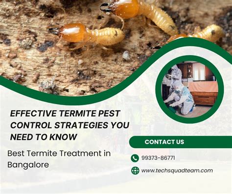 Effective Termite Pest Control Strategies You Need To Know