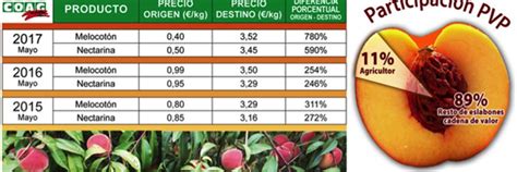 El Melocot N Multiplica Por Su Precio Del Rbol A La Mesa