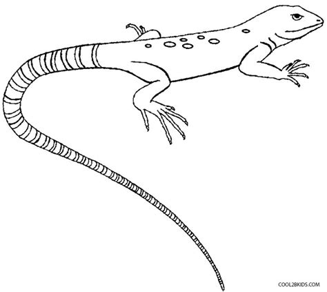 Dibujos Para Colorear De Un Lagarto Lagarto Dibujos Para Hot Sex Picture