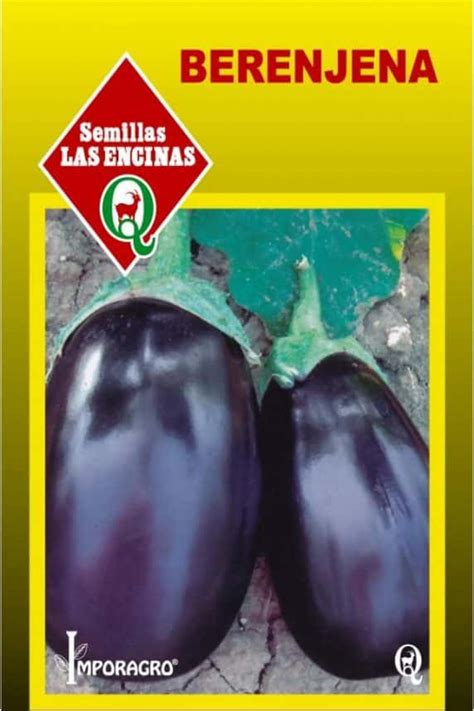 ᐅ Semillas de Berenjena Morada Huertos Alma