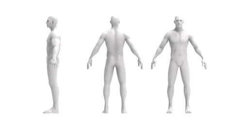 Human Reference For 3d Modeling