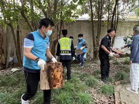 文明一线牵丨“剪”除居民烦恼，“整”出美丽家园