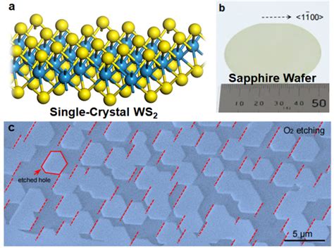 Ultra Large Single Crystal WS2 Monolayer EurekAlert