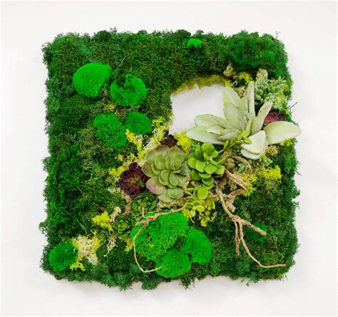 Gallery of our work | Phillip's Interior Plants, Chicago IL