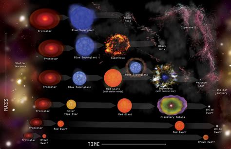 stellar evolution Diagram | Quizlet