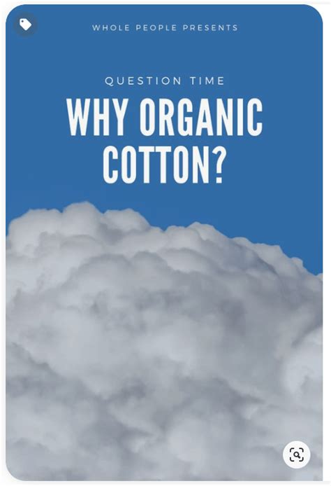 5 Reasons Why Organic Cotton Is The Better Choice Whole People