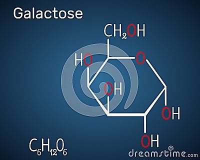 Galactose Alpha D Galactopyranose Milk Sugar Molecule Cyclic Form