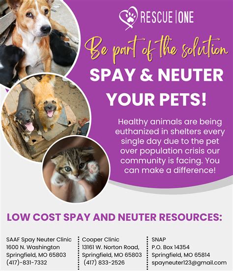 Spay And Neuter Information Rescue One