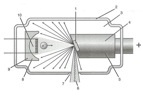 Labeling X Ray Tube Diagram Quizlet