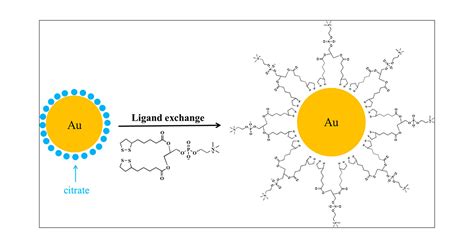 Thiol Mediated Multidentate Phosphorylcholine As A Zwitterionic Ligand