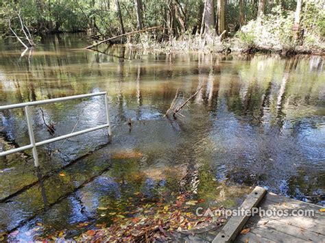 Aiken State Park - Campsite Photos and Campsite Availability Alerts