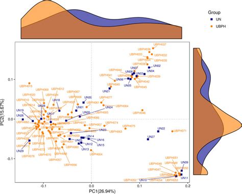 The Impact Of Urine Microbiota In Patients With Lower Urinary Tract