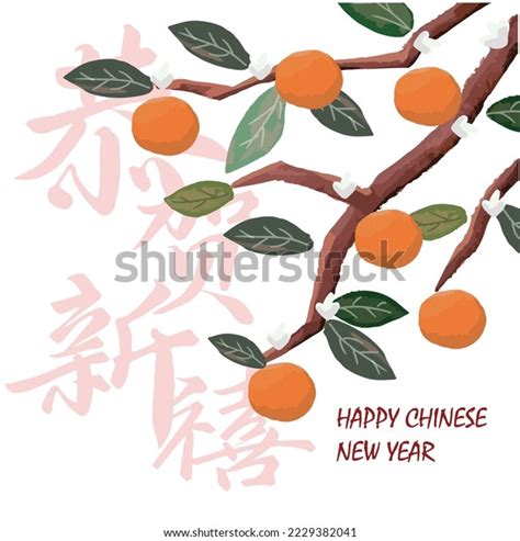 Hand Draw Chinese New Year Mandarine Stock Vector Royalty Free