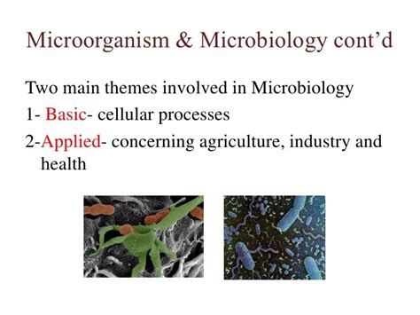 1 Introduction To Microbiology