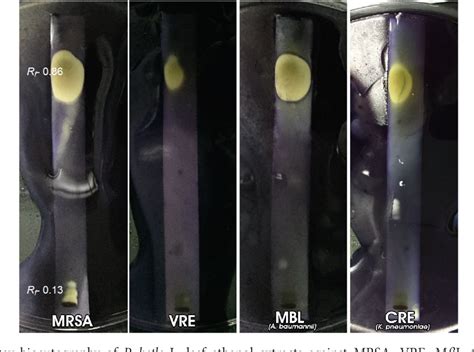 Figure From Thin Layer Chromatography Bioautography And Gas