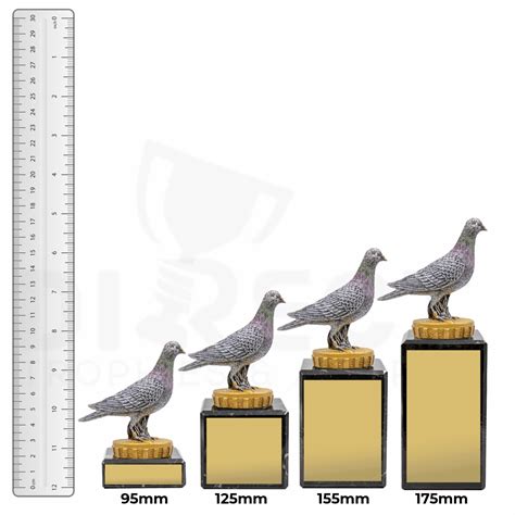 Pigeon Marble Trophy Direct Trophies And Awards