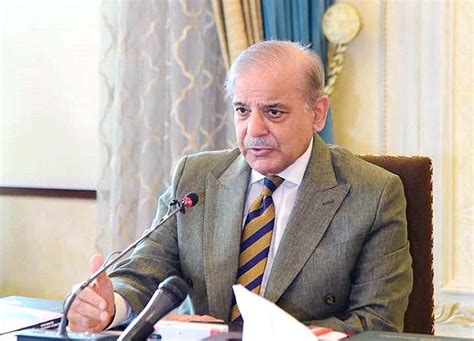 Unity vital to steer country out of challenges: Shehbaz Sharif