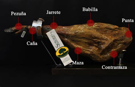 La Moncloa Ib Ricos Partes De Un Jam N