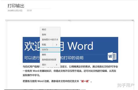 怎样把word转换为图片形式？ 知乎