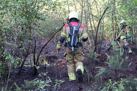 250 Vierkante Meter Bos In Delden Gaat In Vlammen Op Nieuws Nieuws