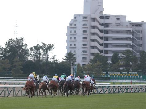 【中京3r新馬戦結果】ナダル産駒ベルギューンが抜け出し快勝 スポーツ 写真 Goo ニュース