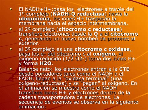 Cadena Transportadora De Electrones Ppt