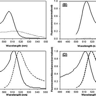 Spectral Properties Of Bodipy Fl C In Buffer Methanol And Bound To