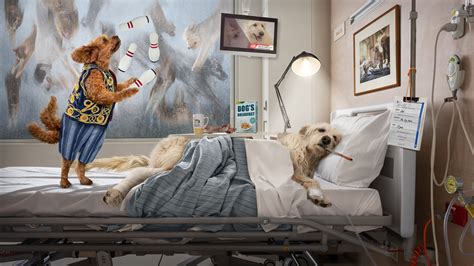 Sick as a Dog - Story Art Gallery